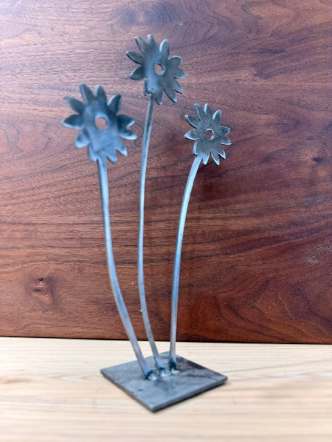Three Branch Daisy